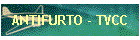 ANTIFURTO - TVCC